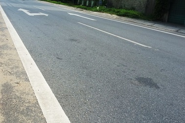 Trộm chó bị truy đuổi, dùng dao đâm chết "khổ chủ"