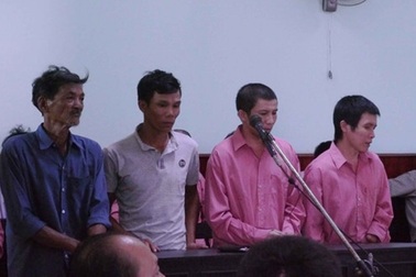 Giám đốc doanh nghiệp thừa nhận phá rừng