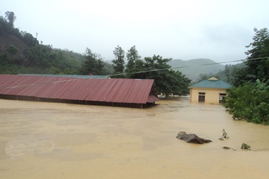 Lũ kinh hoàng ở miền Tây Nghệ An - đâu là nguyên nhân? 