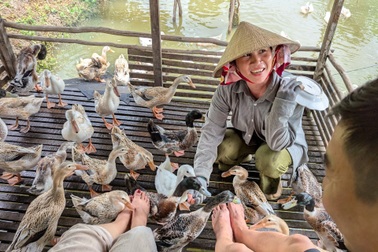 Thích thú xem đàn vịt massage cho khách ở Cần Thơ