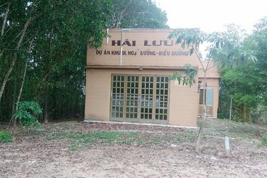 Kiểm tra các dự án “treo” gần 10 năm của doanh nghiệp ngang nhiên “cướp” đường công cộng