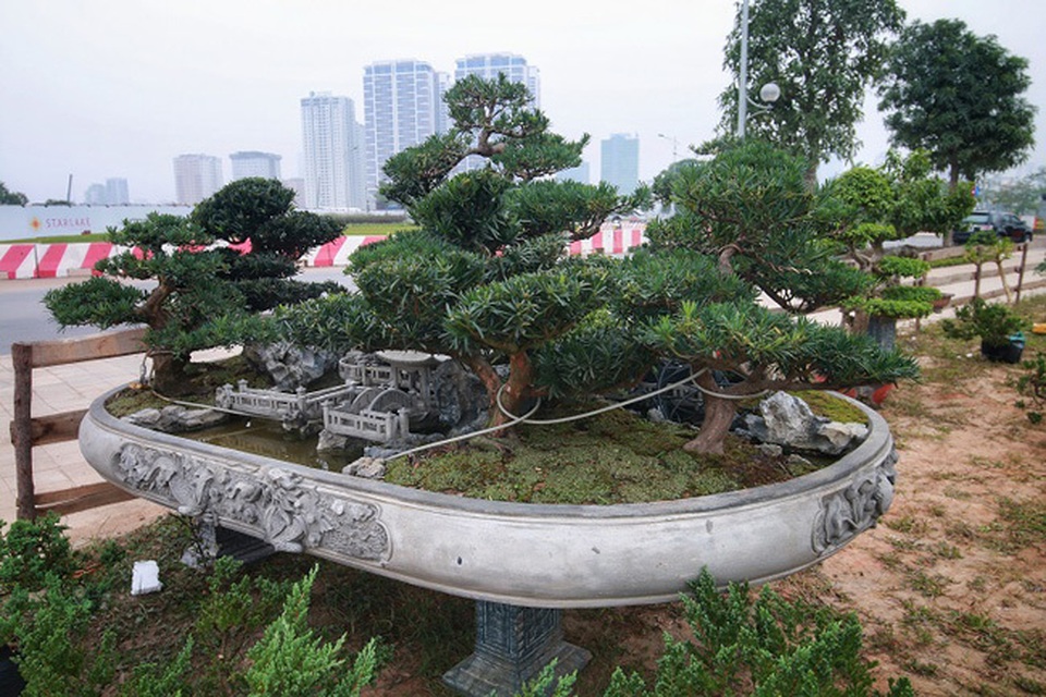 Vườn lan đột biến giá hàng chục tỷ của ông chủ kín tiếng Hà thành - 3 Vườn lan đột biến giá hàng chục tỷ của ông chủ kín tiếng Hà thành - 3