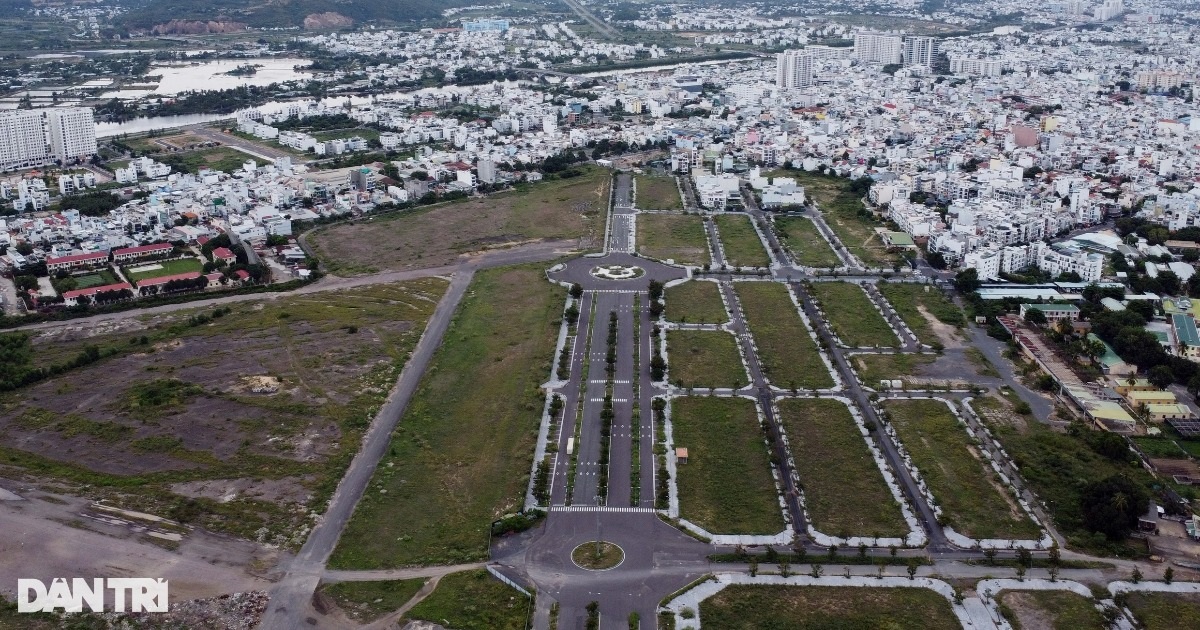 Read more about the article Hiện trạng các lô "đất vàng" um tùm cỏ ở sân bay Nha Trang