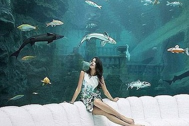 Thái tử Ả Rập mua cung điện 6.800 tỉ?