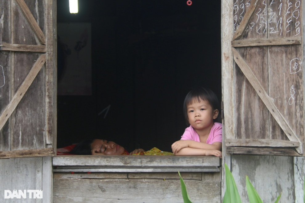 Không bố, mẹ thoi thóp đợi Không bố, mẹ thoi thóp đợi