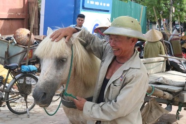 Ông lão U70 miệt mài 30 năm "bám ngựa" mưu sinh