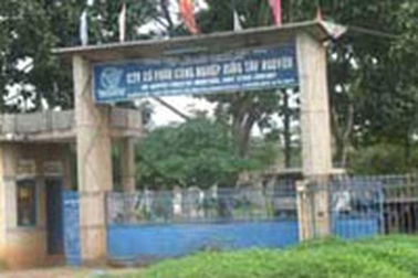 Hàng nghìn m3 gỗ sử dụng không đúng mục đích?