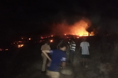 Đồi thông hàng chục năm tuổi bốc cháy ngùn ngụt