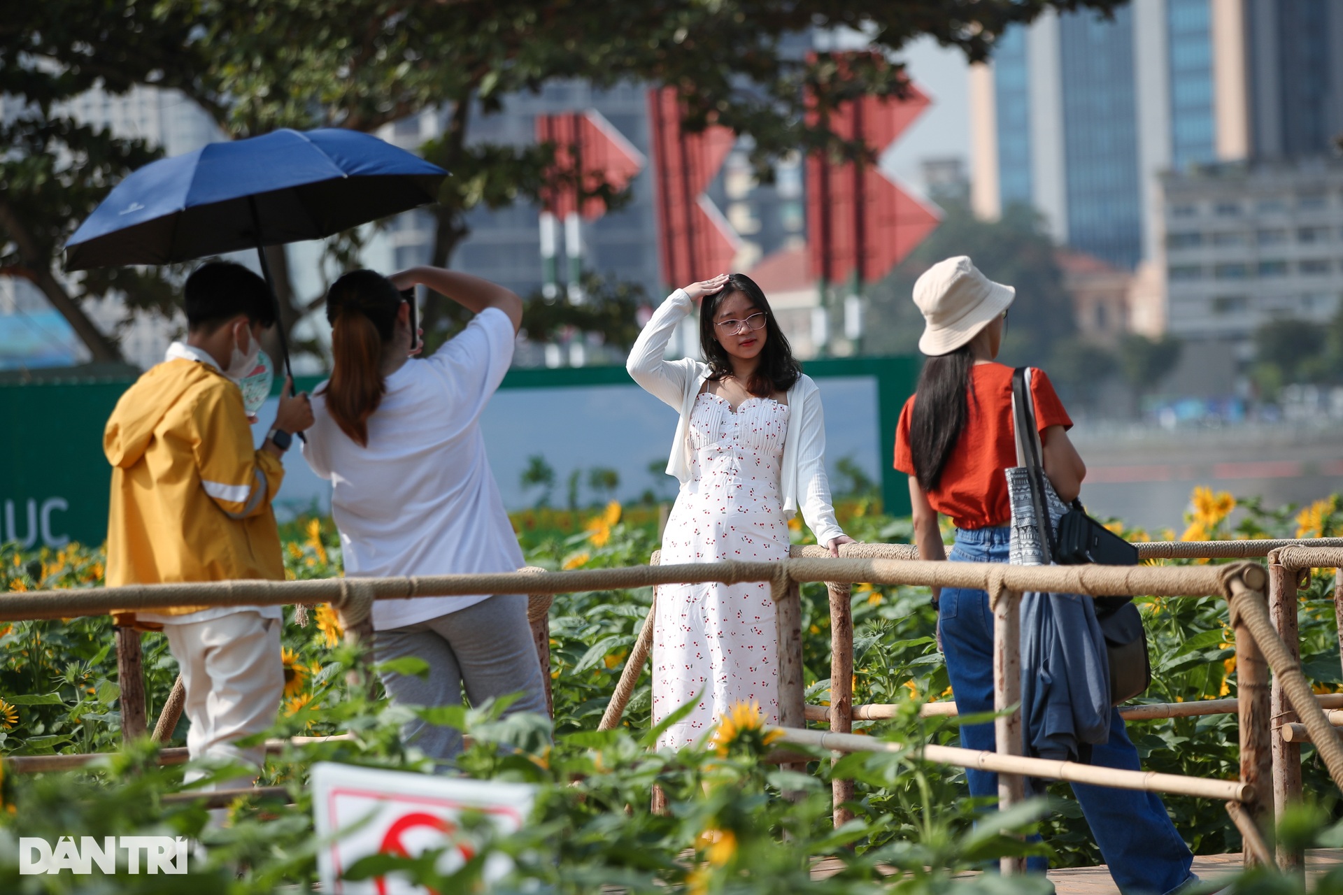 Many young people jostle to show off their beauty in the sunflower field - 3