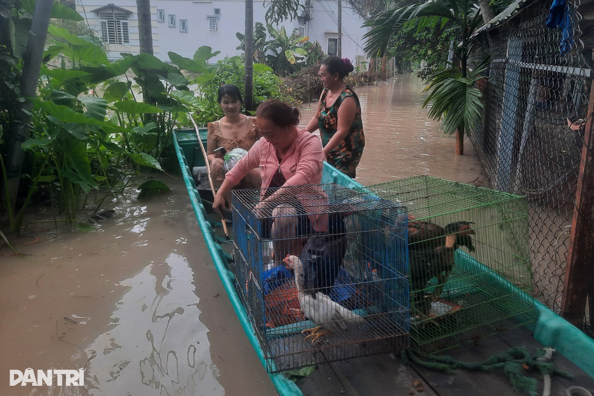 Người dân khốn khổ sau trận mưa lớn kéo dài gây ngập nặng ở Bình Dương - 1 Người dân khốn khổ sau trận mưa lớn kéo dài gây ngập nặng ở Bình Dương - 1