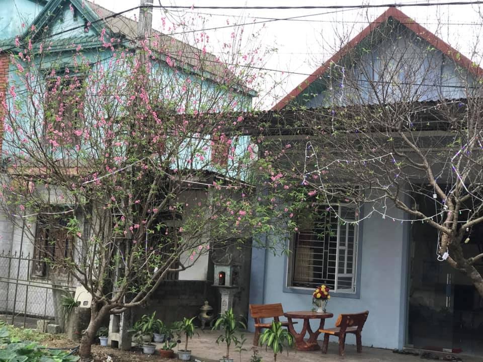 Nổ làm to ở phố, người con ôm cục nợ khi về quê đón Tết - 4 Nổ làm to ở phố, người con ôm cục nợ khi về quê đón Tết - 4
