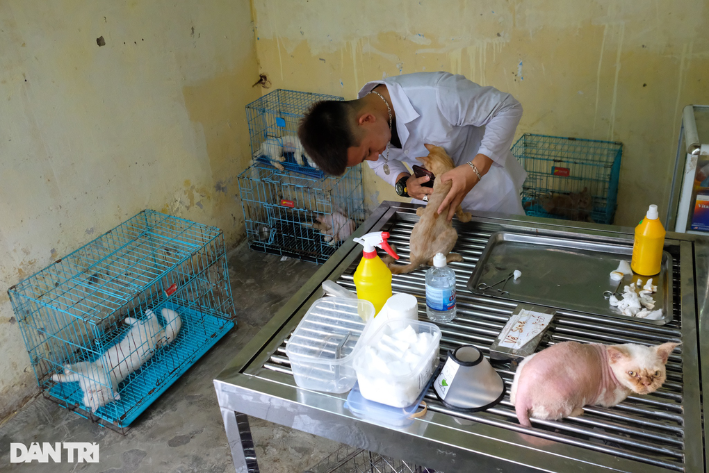 Biệt đội cứu hộ chó mèo đặc biệt ở Hà Nội - 3 Biệt đội cứu hộ chó mèo đặc biệt ở Hà Nội - 3