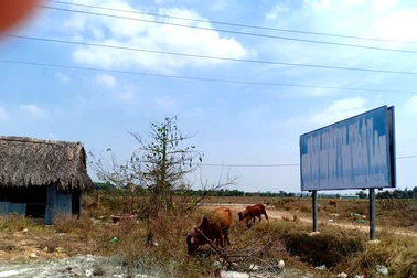 Vụ đấu giá dự án khu dân cư nghìn tỷ: Bộ Tư pháp báo cáo Thủ tướng thế nào?