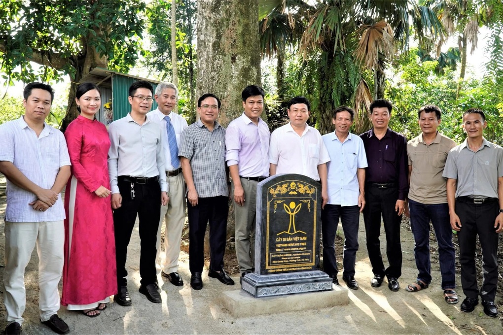 Hai cây trầm hương hơn 200 năm tuổi được công nhận Cây Di sản Việt Nam - 3 Hai cây trầm hương hơn 200 năm tuổi được công nhận Cây Di sản Việt Nam - 3
