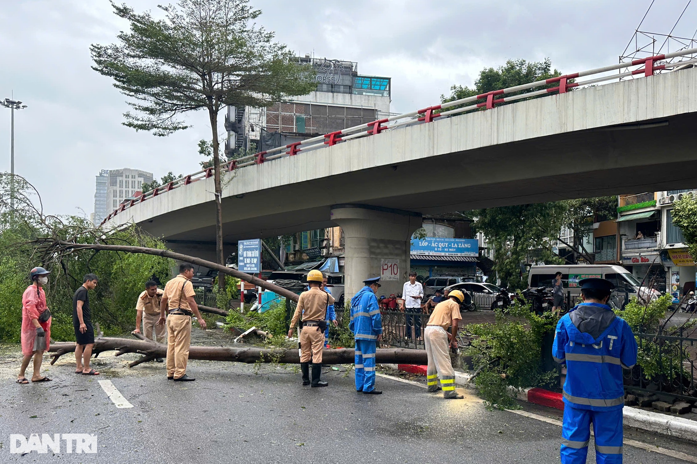 View - Hà Nội khẩn trương thu dọn cây đổ, khắc phục hậu quả sau bão | Báo Dân trí