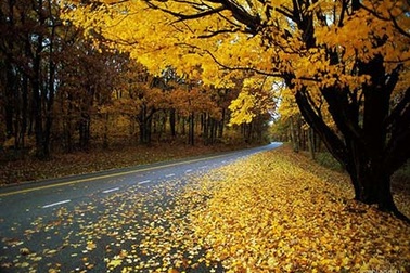 Ngất ngây với những “thiên đường” vào thu