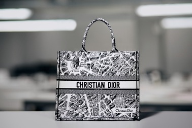 Túi xách Dior thêu hình bản đồ thành phố Paris tinh xảo đến từng chi tiết