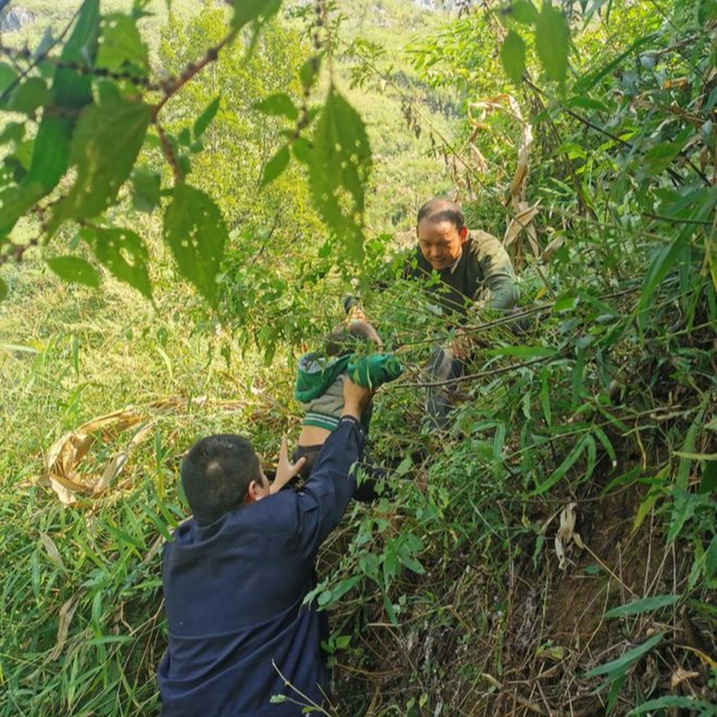 Trung Quốc: Bé gái bị khỉ hoang bắt cóc và bỏ lại trên cây mọc ở vách đá - 1 Trung Quốc: Bé gái bị khỉ hoang bắt cóc và bỏ lại trên cây mọc ở vách đá - 1
