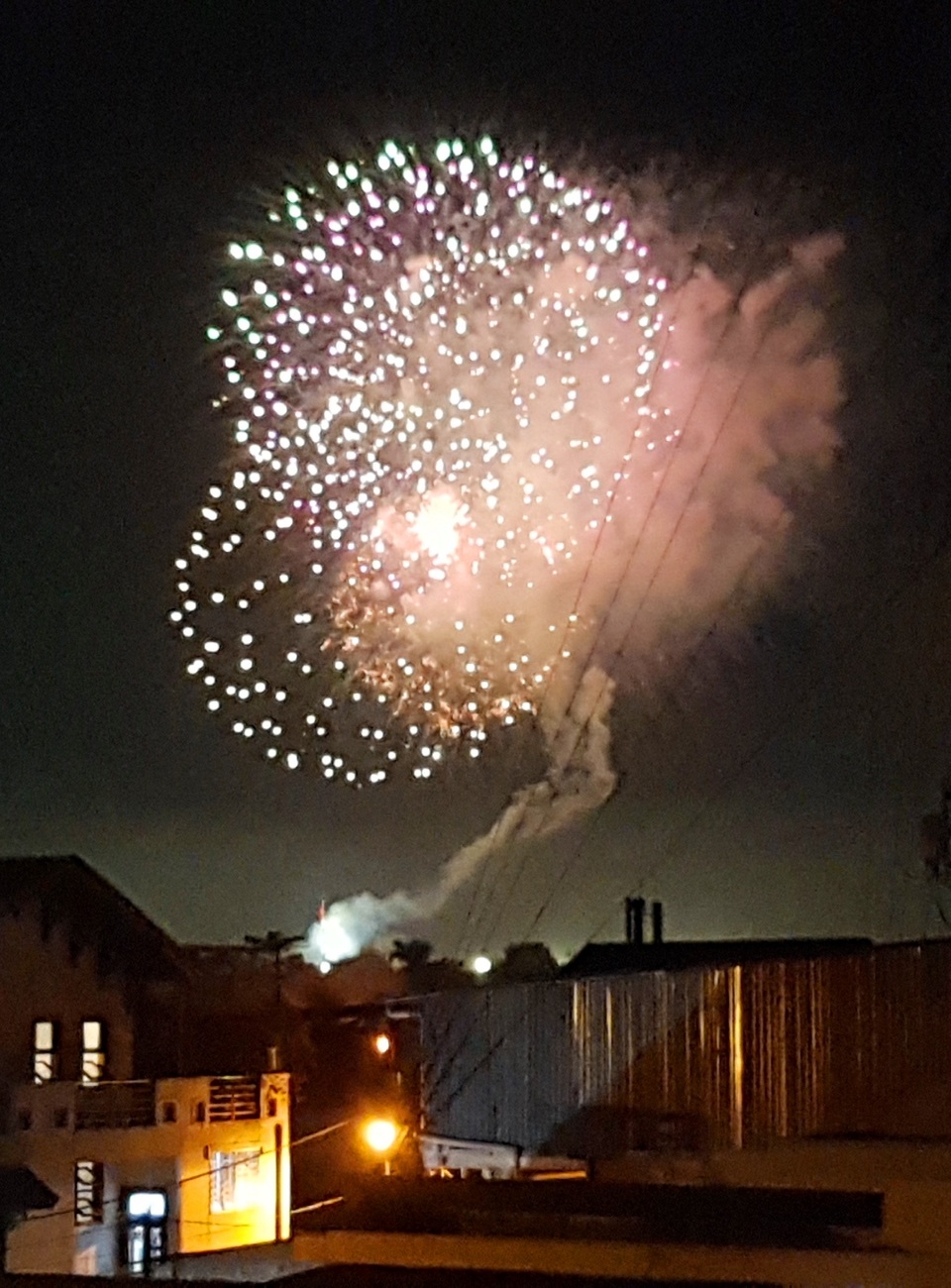 Hân hoan chào đón năm Canh Tý 2020 - 30