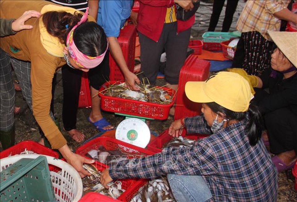 Độc đáo chợ cá Cồn Gò, Hà Tĩnh - 1 Độc đáo chợ cá Cồn Gò, Hà Tĩnh - 1