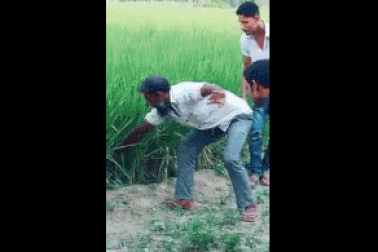 Clip “màn bắt rắn rùng rợn và cái kết bất ngờ” khiến dân mạng ngỡ ngàng tuần qua