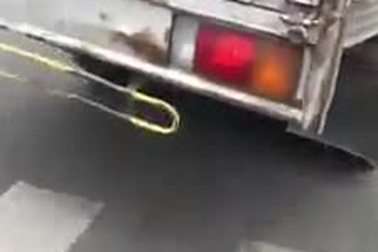 Xác minh đoạn clip ô tô “điên cuồng” chạy trốn CSGT