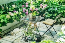 Mất 4 năm cải tạo, vợ chồng biến đất hoang thành khu vườn tuyệt đẹp