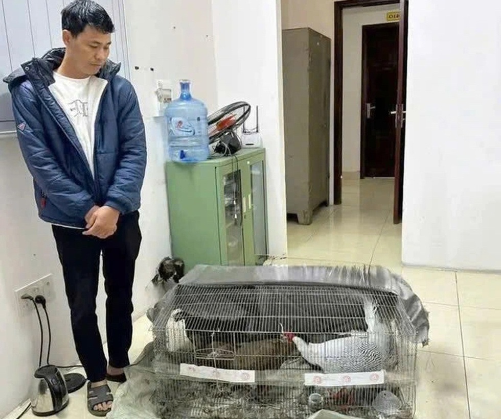 Tổng quan vụ án Gà lôi trắng - 2