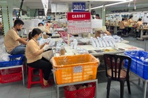 Kiến nghị tăng mức hưởng lương hưu với người nghỉ hưu trước tuổi