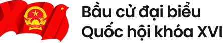 Bầu cử Đại biểu Quốc hội