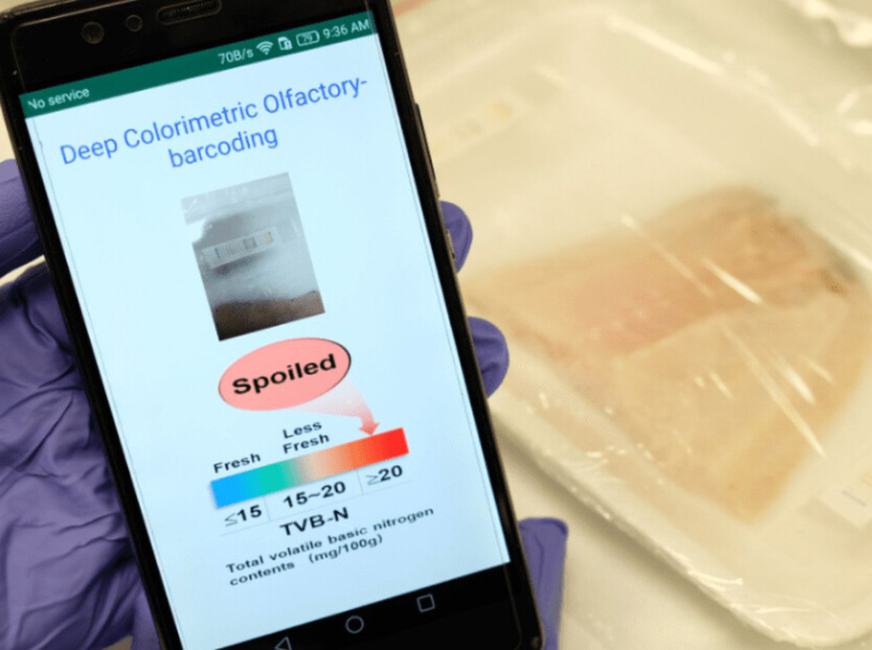 Công nghệ mũi điện tử giúp AI ngửi được thực phẩm - 1 Công nghệ mũi điện tử giúp AI ngửi được thực phẩm - 1