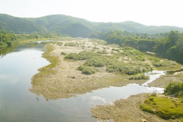Cá tôm chết hàng loạt trên sông Ngàn Trươi 