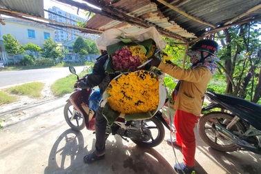 Nông dân làng hoa Mỹ Bình phấn khởi vì hoa Tết "được giá"