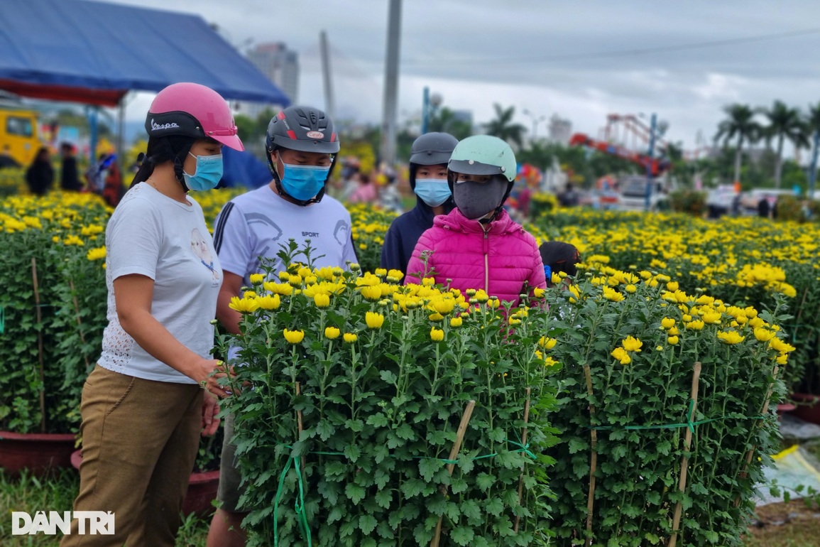 Chợ hoa 29 Tết đông nghịt người, người bán đồng loạt xả hàng - 1 Chợ hoa 29 Tết đông nghịt người, người bán đồng loạt xả hàng - 1