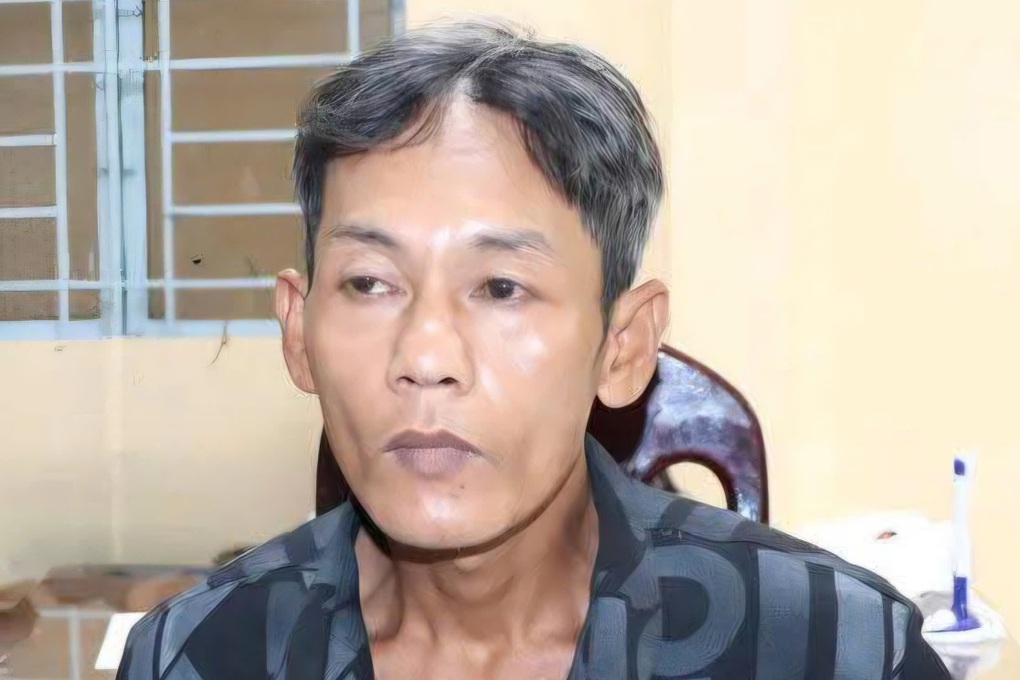 Bắt giữ kẻ bị truy nã về hành vi trộm cắp tài sản - 1
