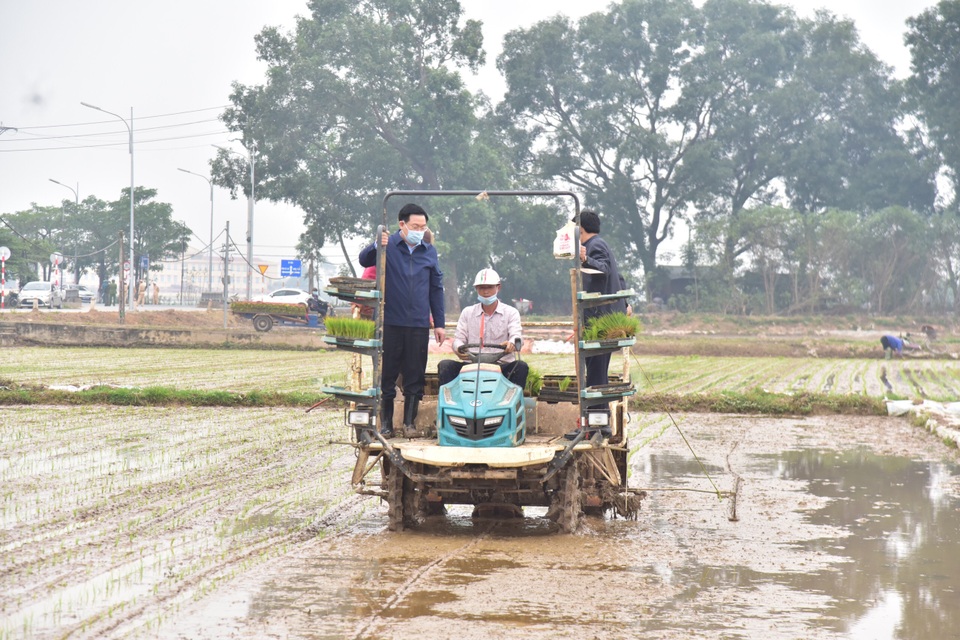 Bí thư và Chủ tịch TP Hà Nội xuống đồng cấy lúa, động viên nông dân - 2 Bí thư và Chủ tịch TP Hà Nội xuống đồng cấy lúa, động viên nông dân - 2