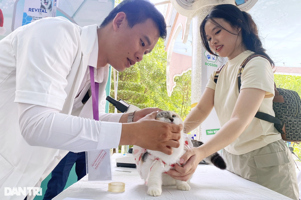 Hot girl mang thú cưng nghìn USD đến ngày hội độc đáo ở TPHCM - 3 Hot girl mang thú cưng nghìn USD đến ngày hội độc đáo ở TPHCM - 3