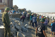 Hơn 300 người được huy động gia cố khẩn cấp kè biển bị sạt lở