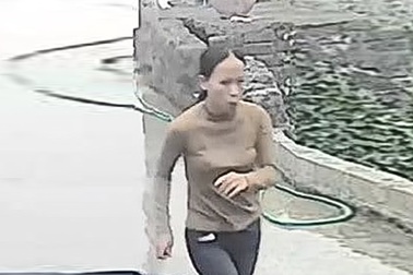 Tìm kiếm người phụ nữ Ninh Bình mất tích khi vào núi bắt ốc