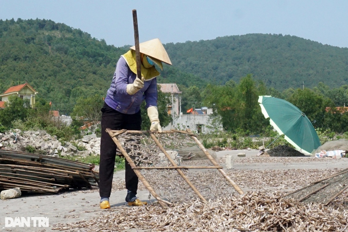 Nửa đêm mang cá đi rải, giữa trưa cầm gậy đập cật lực để lấy tiền - 5 Nửa đêm mang cá đi rải, giữa trưa cầm gậy đập cật lực để lấy tiền - 5