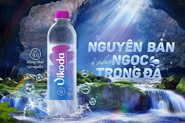 Đảnh Thạnh - Vikoda nhận diện mới - tầm vóc mới