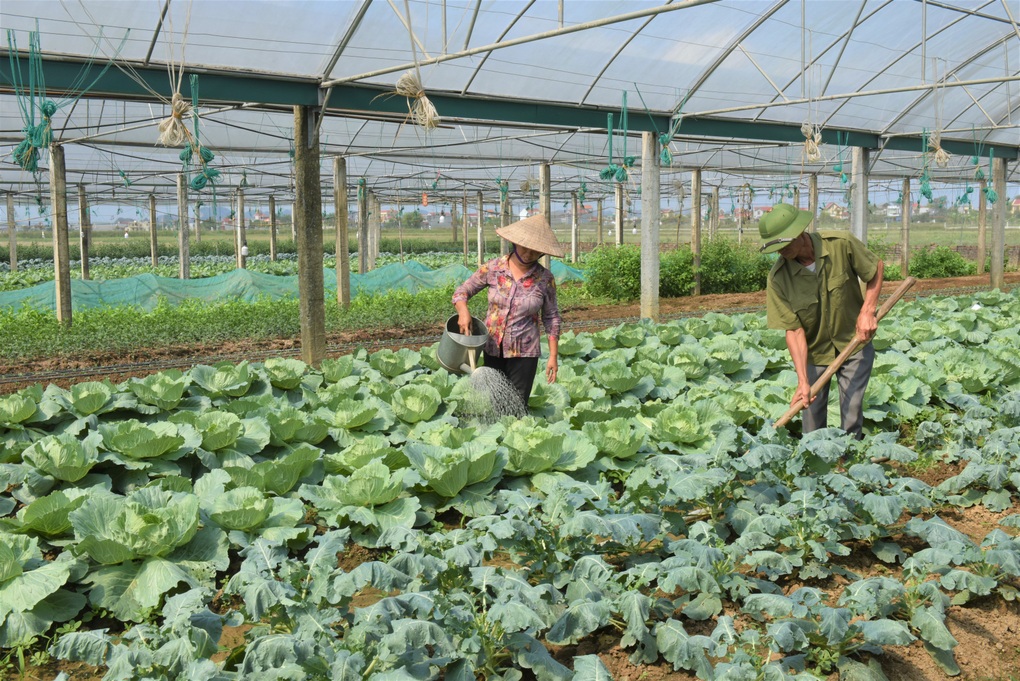 Ninh Bình hoàn thành nhiệm vụ xây dựng nông thôn mới sau 15 năm xây dựng - 2 Ninh Bình hoàn thành nhiệm vụ xây dựng nông thôn mới sau 15 năm xây dựng - 2