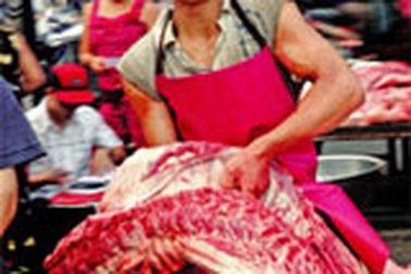 Viêm màng não mủ, nhiễm trùng huyết từ lợn! 