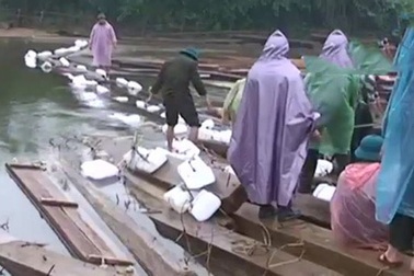 Hà Tĩnh - Quảng Bình phối hợp đẩy đuổi lâm tặc