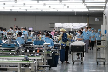 Tìm việc an toàn, tránh sập "bẫy" online với sàn việc làm quốc gia