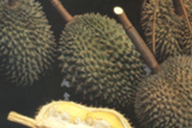 Bị liệt dương nên ăn sầu riêng