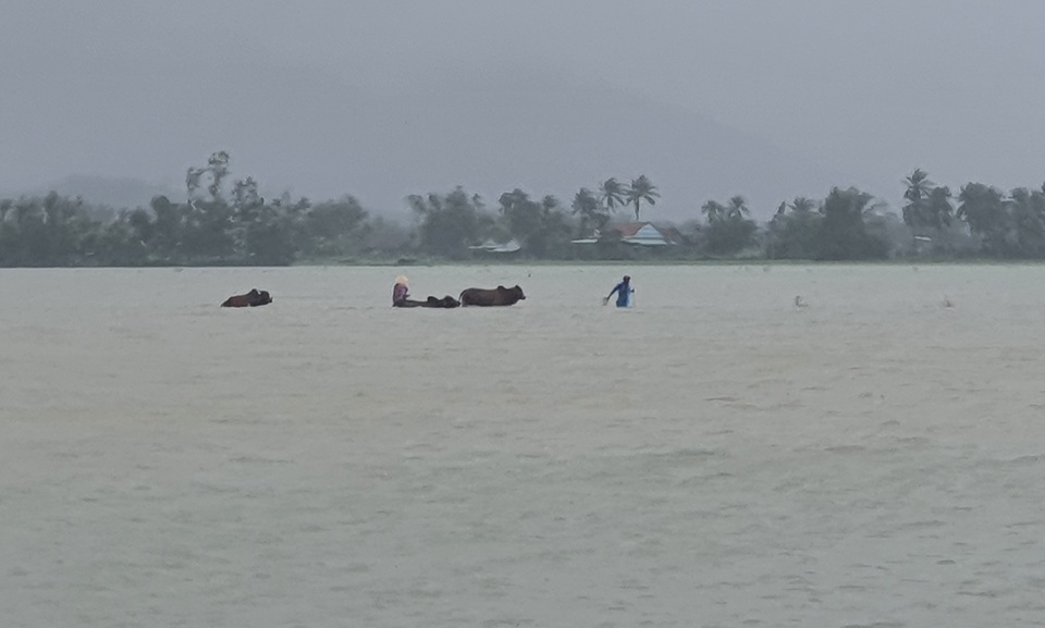 Phú Yên mưa lớn, lũ lên nhanh, dân vội vàng đi sơ tán - 7 Phú Yên mưa lớn, lũ lên nhanh, dân vội vàng đi sơ tán - 7