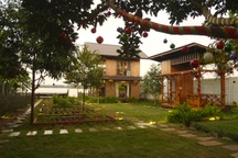 Nhóm bạn thân chi 50 triệu "lột xác" nhà vườn, đón Giáng sinh như trời Tây