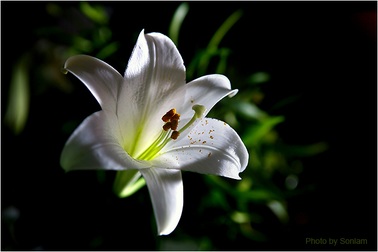 Để tuột hạnh phúc 