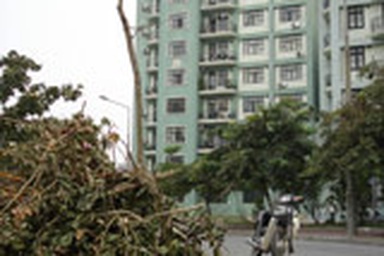 “Nham nhở” làng quốc tế Thăng Long